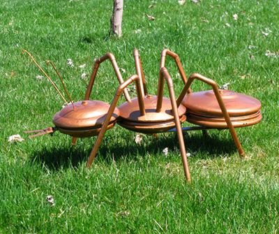 Ant - The Hubcap as Art 